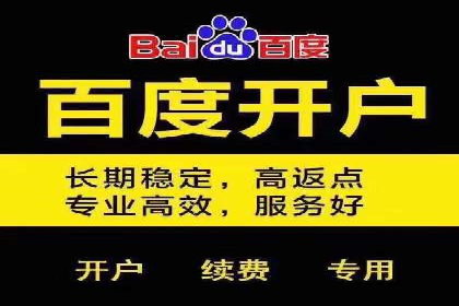 SEM竞价代运营公司案例实战指南
